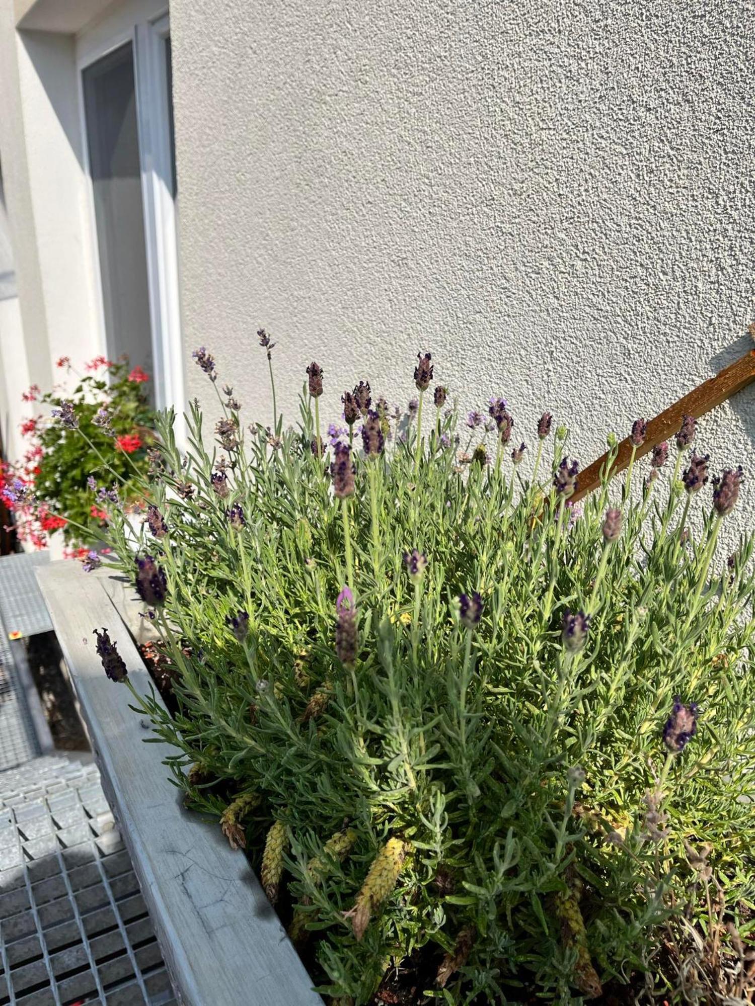 P&P Apartmany Bojnice Extérieur photo